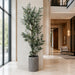 8' Eucalyptus Silk Tree w/Cement Pot -Green - WT4973-GR