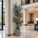 8' Eucalyptus Silk Tree w/Cement Pot -Green - WT4973-GR