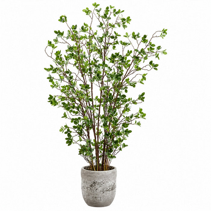 5' Mini Leaf Silk Plant w/Cement Planter -Green - WT4996-GR