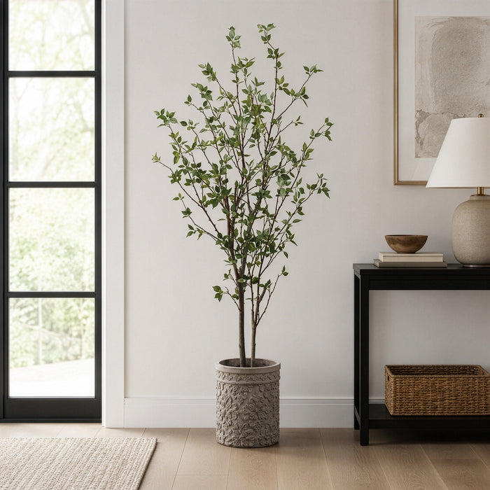 6' Cornus Silk Tree w/Terra Cotta Planter -Green - WT4997-GR
