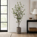 6' Cornus Silk Tree w/Terra Cotta Planter -Green - WT4997-GR