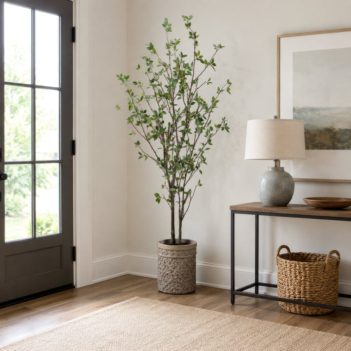 6' Cornus Silk Tree w/Terra Cotta Planter -Green - WT4997-GR