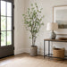 6' Cornus Silk Tree w/Terra Cotta Planter -Green - WT4997-GR