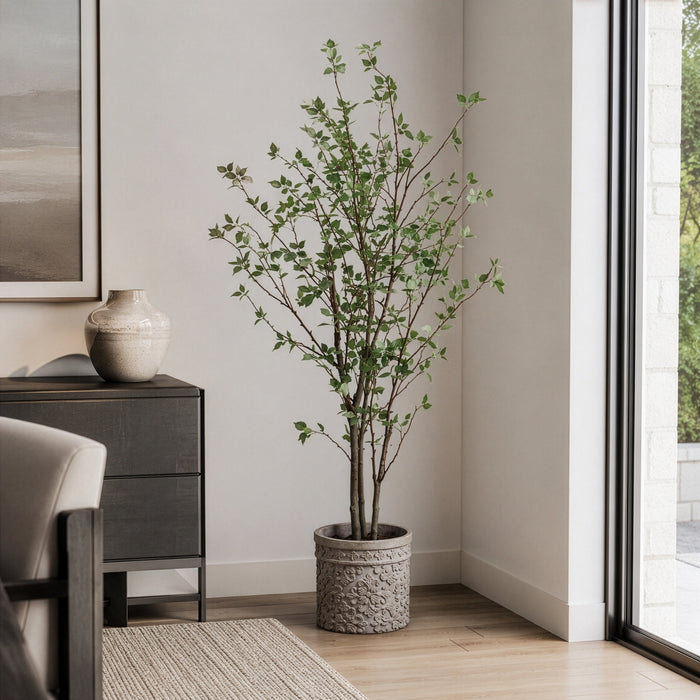 6' Cornus Silk Tree w/Terra Cotta Planter -Green - WT4997-GR