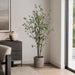 6' Cornus Silk Tree w/Terra Cotta Planter -Green - WT4997-GR