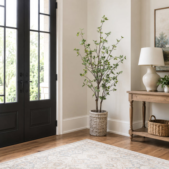 5' Cornus Silk Tree w/Terra Cotta Planter -Green - WT4998-GR