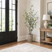 5' Cornus Silk Tree w/Terra Cotta Planter -Green - WT4998-GR