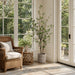 5' Cornus Silk Tree w/Terra Cotta Planter -Green - WT4998-GR