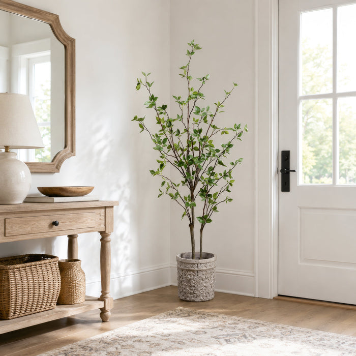 5' Cornus Silk Tree w/Terra Cotta Planter -Green - WT4998-GR