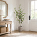 5' Cornus Silk Tree w/Terra Cotta Planter -Green - WT4998-GR