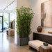 6' Mini Leaf Silk Plant Wall Divider w/Planter -Green - WT5000-GR