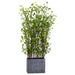 6' Mini Leaf Silk Plant Wall Divider w/Planter -Green - WT5000-GR