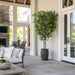 10' Eucalyptus Silk Tree w/Cement Planter -Green - WT5040-GR