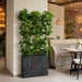 6'6" EVA Schefflera Wall Divider Artificial Tree w/Container -Green - WT5047-GR