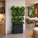 6'6" EVA Schefflera Wall Divider Artificial Tree w/Container -Green - WT5047-GR