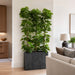 6'6" EVA Schefflera Wall Divider Artificial Tree w/Container -Green - WT5047-GR
