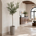 8' Silk Olive & Berry Tree w/Cement Planter -Green - WT5061-GR/TT