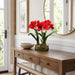 21.5"Hx24"W Silk Amaryllis Flower With Bulb, Skimmia & Sedum Arrangement w/Glass Vase -Red/Green - WX8086-RE