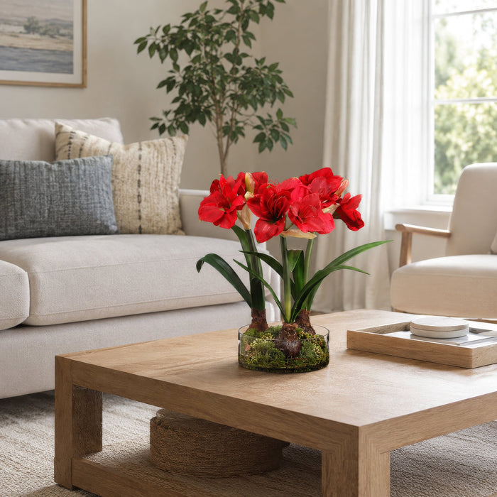 21.5"Hx24"W Silk Amaryllis Flower With Bulb, Skimmia & Sedum Arrangement w/Glass Vase -Red/Green - WX8086-RE