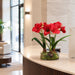 21.5"Hx24"W Silk Amaryllis Flower With Bulb, Skimmia & Sedum Arrangement w/Glass Vase -Red/Green - WX8086-RE