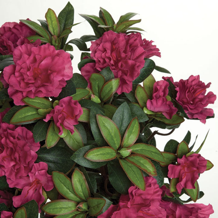 15" Silk Azalea Flower Bush -Fuchsia/Beauty (Pack of 6) - P0262