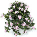 27" Hanging Silk Impatiens Flower Bush -Pink (pack of 6) - P0343