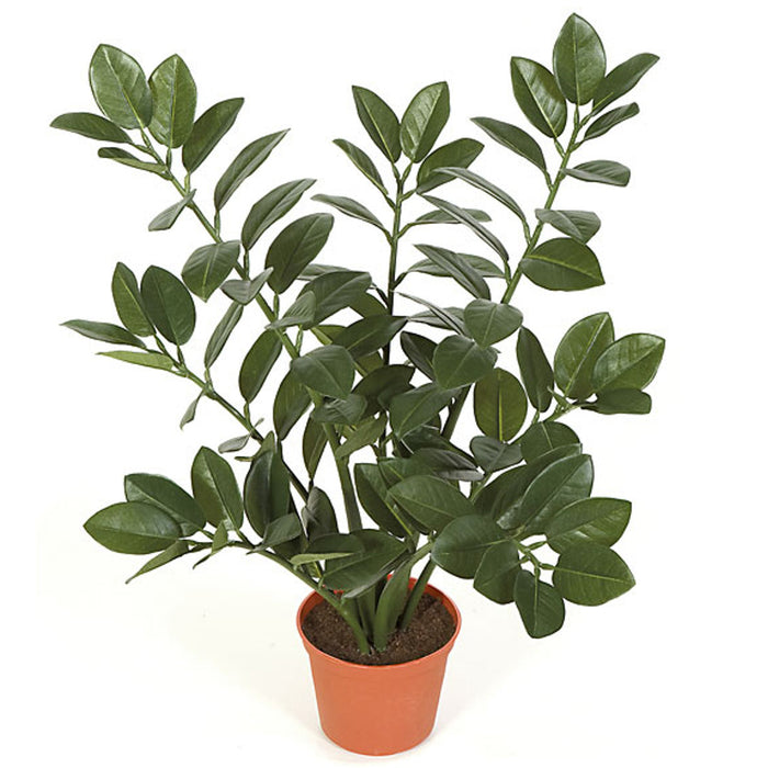 21" Zanzibar Gem Zamioculcas Succulent Artificial Plant w/Pot -Green (Pack of 4) - P-101700