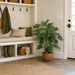 40" Selloum Philodendron Silk Plant w/Pot -Green - P110020