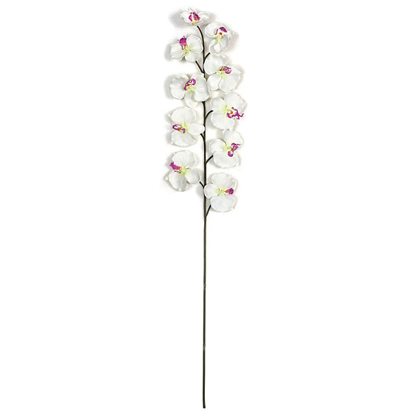 39" Butterfly Orchid Silk Flower Stem -White (pack of 12) - P-110330