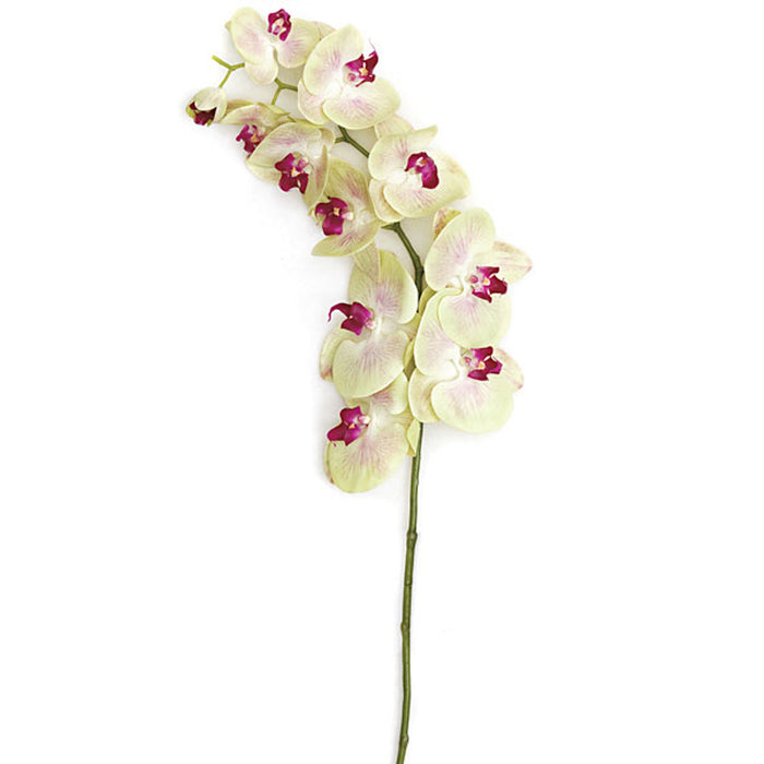 38" Silk Phalaenopsis Orchid Flower Stem -Light Green (Pack of 4) - P110650