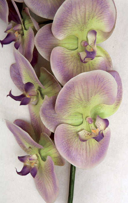 38" Silk Phalaenopsis Orchid Flower Stem -Lavender/Green (Pack of 4) - P110652