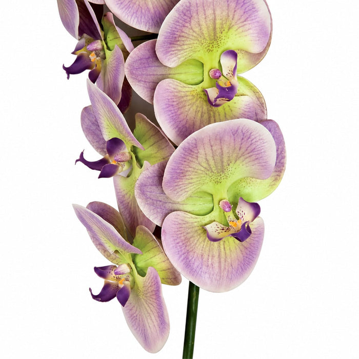 38" Silk Phalaenopsis Orchid Flower Stem -Lavender/Green (Pack of 4) - P110652