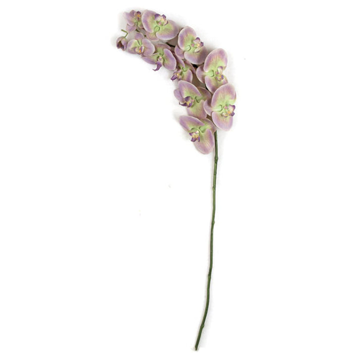 38" Silk Phalaenopsis Orchid Flower Stem -Lavender/Green (Pack of 4) - P110652