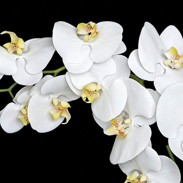 38" Silk Phalaenopsis Orchid Flower Stem -White/Cream (Pack of 4) - P110656