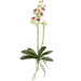 18" Phalaenopsis Orchid With Roots Silk Flower Stem -Cream/White (Pack of 4) - P-110720