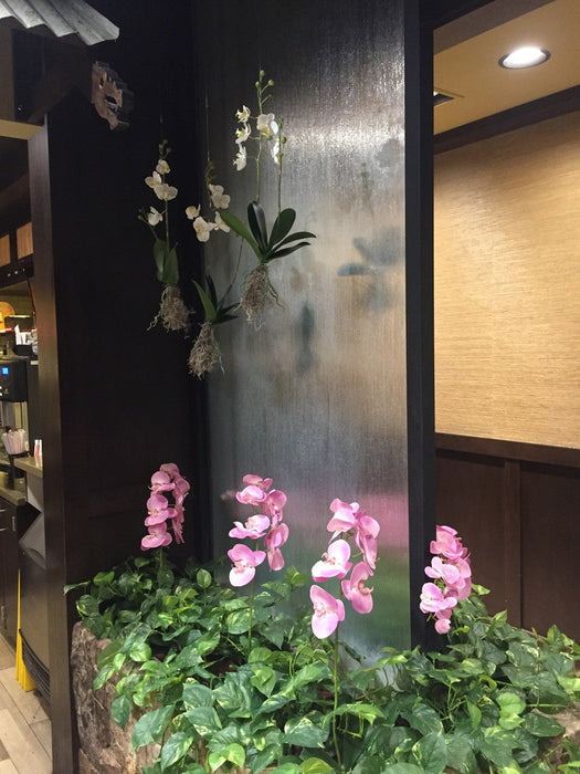 18" Phalaenopsis Orchid With Roots Silk Flower Stem -Rose Pink (Pack of 4) - P-110726