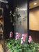 18" Phalaenopsis Orchid With Roots Silk Flower Stem -Rose Pink (Pack of 4) - P-110726