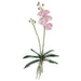 18" Phalaenopsis Orchid With Roots Silk Flower Stem -Rose Pink (Pack of 4) - P-110726