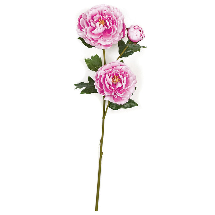 36" Peony Silk Flower Stem -Fuchsia/Pink (Pack of 6) - P-111934