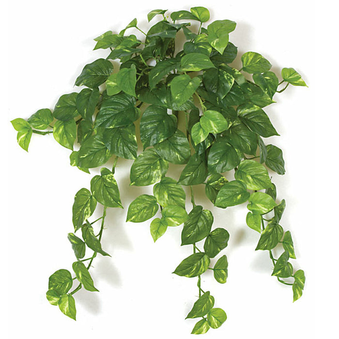 32" Soft Touch Plastic Hanging Pothos Plant -Green/Cream (pack of 4) - P120890