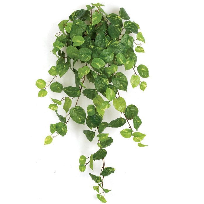 pothos cream 48" Soft Touch Plastic Hanging Pothos Plant -Green/Cream — Silks Are Forever
