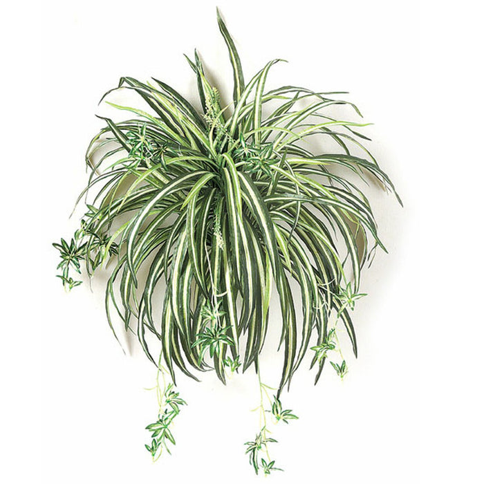 24" Hanging Spider Silk Plant -Green/White (pack of 6) - P1280