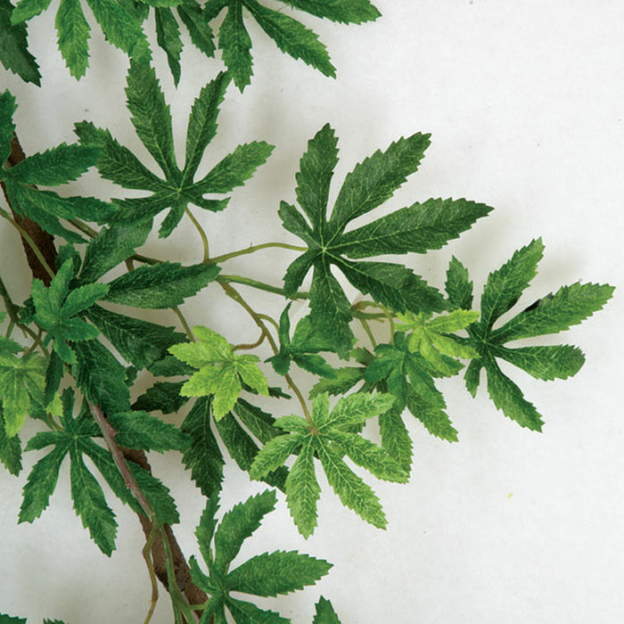 72" Hanging Silk Japanese Maple Leaf Branch Stem -2 Tone Green (Pack of 4) - P130370