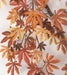 72" Hanging Silk Japanese Maple Leaf Branch Stem -Rust/Brown (pack of 4) - P130375