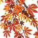 72" Hanging Silk Japanese Maple Leaf Branch Stem -Rust/Brown (Pack of 4) - P130375