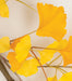 72" Hanging Silk Ginkgo Leaf Branch Stem -Yellow (Pack of 4) - P130415