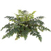 20" Butter Fern Silk Plant -2 Tone Green (pack of 6) - P130470