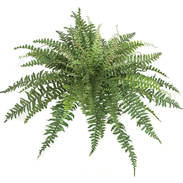 24" Boston Silk Fern Plant -Green (pack of 2) - P130490