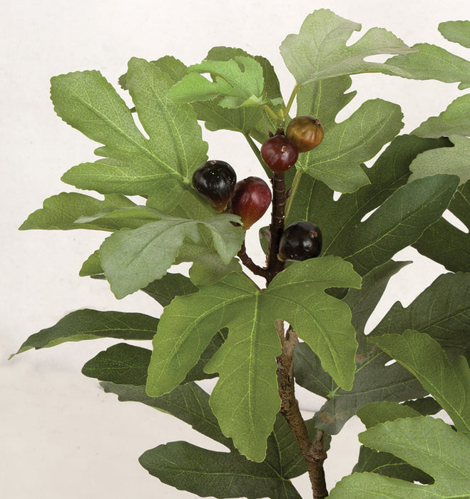 3' Artificial Fig Fruit Tree w/Plastic Pot -Green - P130950