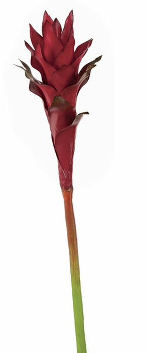 32" Artificial Guzmania Bromeliad Flower Stem -Red (pack of 12) - P131040